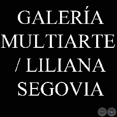 GALERÍA MULTIARTE / LILIANA SEGOVIA