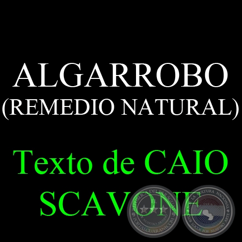 ALGARROBO (REMEDIO NATURAL) - Texto de CAIO SCAVONE