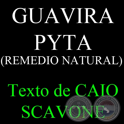 GUAVIRA PYTA ( REMEDIO NATURAL) - Texto de CAIO SCAVONE