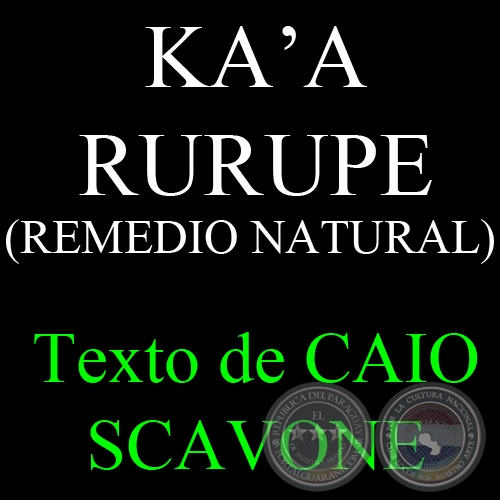KAA RURUPE (REMEDIO NATURAL) - Texto de CAIO SCAVONE