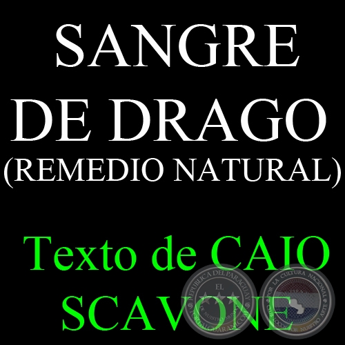 SANGRE DE DRAGO (REMEDIO NATURAL) - Texto de CAIO SCAVONE