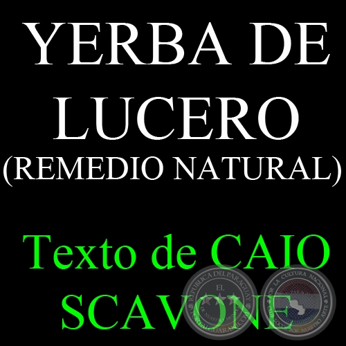 YERBA DE LUCERO (REMEDIO NATURAL) - Texto de CAIO SCAVONE