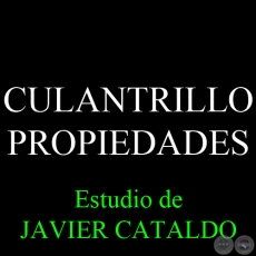 CULANTRILLO - PROPIEDADES - Estudio de JAVIER CATALDO