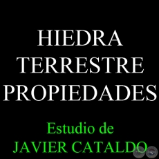 HIEDRA TERRESTRE - PROPIEDADES - Estudio de JAVIER CATALDO