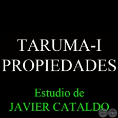 TARUMA-I - PROPIEDADES - Estudio de JAVIER CATALDO