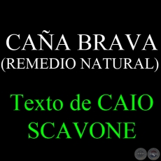 CAÑA BRAVA ( REMEDIO NATURAL) - Texto de CAIO SCAVONE