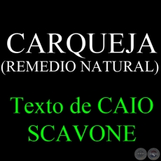 CARQUEJA ( REMEDIO NATURAL) - Texto de CAIO SCAVONE