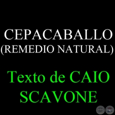 CEPACABALLO ( REMEDIO NATURAL) - Texto de CAIO SCAVONE