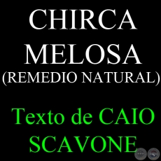 CHIRCA MELOSA ( REMEDIO NATURAL) - Texto de CAIO SCAVONE