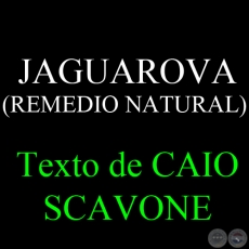 JAGUAROVA ( REMEDIO NATURAL) - Texto de CAIO SCAVONE 