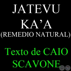 JATEVU KA’A ( REMEDIO NATURAL) - Texto de CAIO SCAVONE