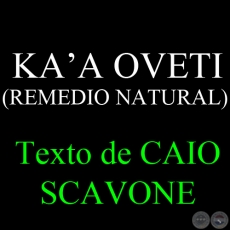 KA’A OVETI ( REMEDIO NATURAL) - Texto de CAIO SCAVONE