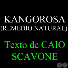 KANGOROSA ( REMEDIO NATURAL) - Texto de CAIO SCAVONE