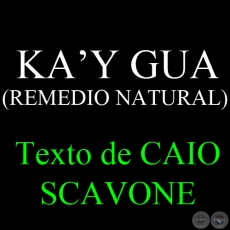 KAY GUA (REMEDIO NATURAL) - Texto de CAIO SCAVONE