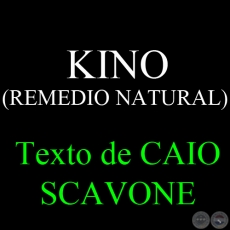 KINO (REMEDIO NATURAL) - Texto de CAIO SCAVONE