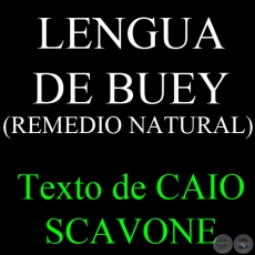 LENGUA DE BUEY (REMEDIO NATURAL) - Texto de CAIO SCAVONE