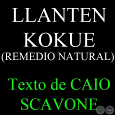 LLANTEN KOKUE (REMEDIO NATURAL) - Texto de CAIO SCAVONE