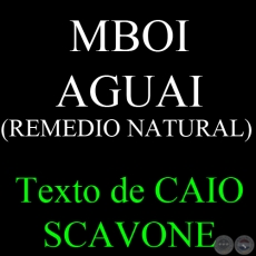 MBOI AGUAI (REMEDIO NATURAL) - Texto de CAIO SCAVONE