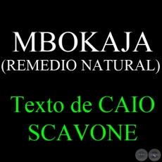 MBOKAJA (REMEDIO NATURAL) - Texto de CAIO SCAVONE