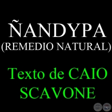 ANDYPA (REMEDIO NATURAL) - Texto de CAIO SCAVONE