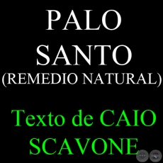 PALO SANTO (REMEDIO NATURAL) - Texto de CAIO SCAVONE