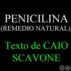 PENICILINA (REMEDIO NATURAL) - Texto de CAIO SCAVONE