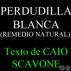 PERDUDILLA BLANCA (REMEDIO NATURAL) - Texto de CAIO SCAVONE