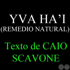 YVA HAI (REMEDIO NATURAL) - Texto de CAIO SCAVONE