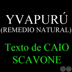 YVAPUR (REMEDIO NATURAL) - Texto de CAIO SCAVONE