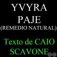 YVYRA PAJE (REMEDIO NATURAL) - Texto de CAIO SCAVONE