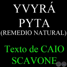 YVYR PYTA (REMEDIO NATURAL) - Texto de CAIO SCAVONE