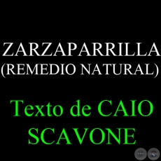 ZARZAPARRILLA (REMEDIO NATURAL) - Texto de CAIO SCAVONE